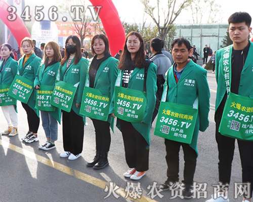 rYW־P鞢M2019ɽ|ֲ