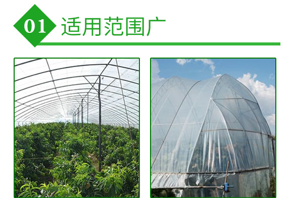 高溫悶棚專用菌劑微博畝-沃爾優(yōu)-沃億佳 高溫悶棚專用菌劑微博畝-沃爾優(yōu)-沃億佳