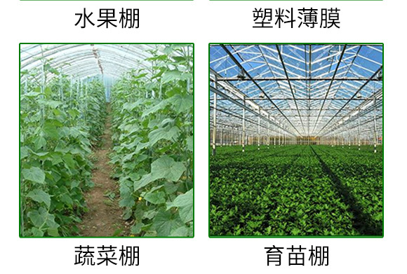 高溫悶棚專用菌劑微博畝-沃爾優(yōu)-沃億佳 高溫悶棚專用菌劑微博畝-沃爾優(yōu)-沃億佳