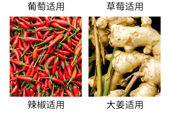 高溫悶棚專用菌劑微博畝-沃爾優(yōu)-沃億佳 高溫悶棚專用菌劑微博畝-沃爾優(yōu)-沃億佳