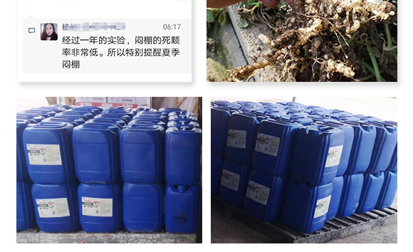 高溫悶棚專用菌劑微博畝-沃爾優(yōu)-沃億佳 高溫悶棚專用菌劑微博畝-沃爾優(yōu)-沃億佳