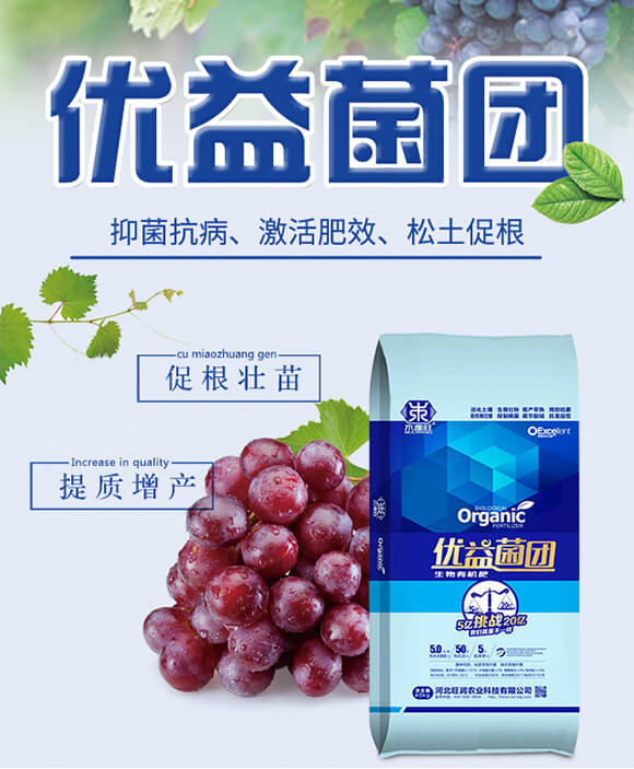 鐢熺墿鏈夋満鑲?浼樼泭鑿屽洟-鏃烘鼎_01.jpg 鐢熺墿鏈夋満鑲?浼樼泭鑿屽洟-鏃烘鼎_01.jpg