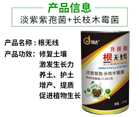 微生物菌劑-根無線-浩達(dá) 微生物菌劑-根無線-浩達(dá)