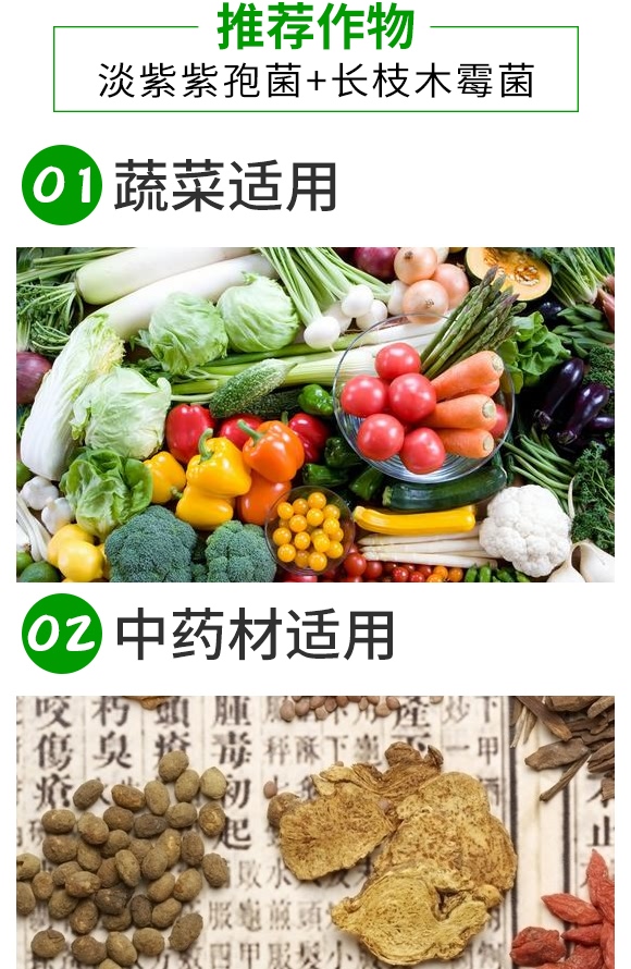 微生物菌劑-根無線-浩達(dá) 微生物菌劑-根無線-浩達(dá)