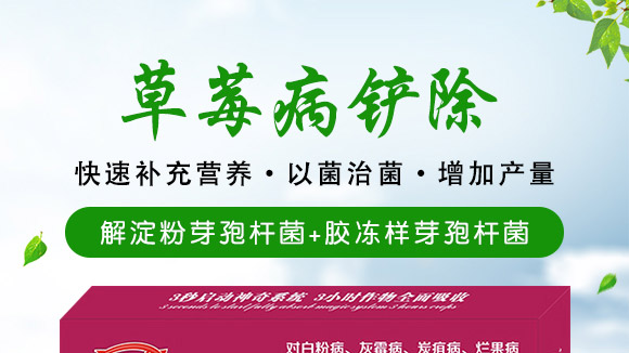 微生物肥-草莓病鏟除-瑞豐德 微生物肥-草莓病鏟除-瑞豐德