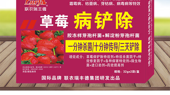 微生物肥-草莓病鏟除-瑞豐德 微生物肥-草莓病鏟除-瑞豐德