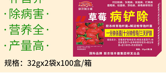 微生物肥-草莓病鏟除-瑞豐德 微生物肥-草莓病鏟除-瑞豐德