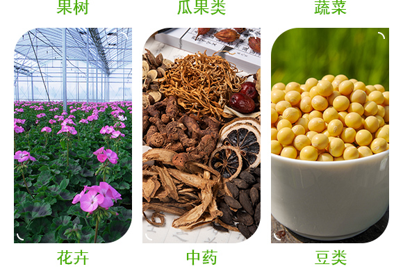灞變笢嫻蜂箣鏄熻繘鍑哄彛鏈夐檺鍏徃璇︽儏欏?_05.jpg 灞變笢嫻蜂箣鏄熻繘鍑哄彛鏈夐檺鍏徃璇︽儏欏?_05.jpg