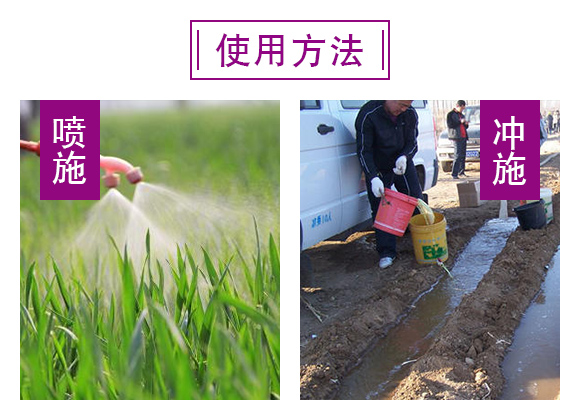 哈茨·枯草芽孢杆菌Q真l菌性病害专用）(j)_06.jpg