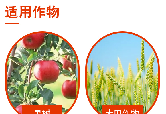 寰敓鐗╄弻鍓?0浜匡紙姍欒壊錛?瀵屽繀鏉04.jpg 寰敓鐗╄弻鍓?0浜匡紙姍欒壊錛?瀵屽繀鏉04.jpg