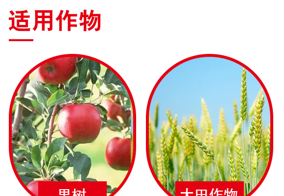 寰敓鐗╄弻鍓?0浜匡紙綰㈣壊錛?瀵屽繀鏉04.jpg 寰敓鐗╄弻鍓?0浜匡紙綰㈣壊錛?瀵屽繀鏉04.jpg