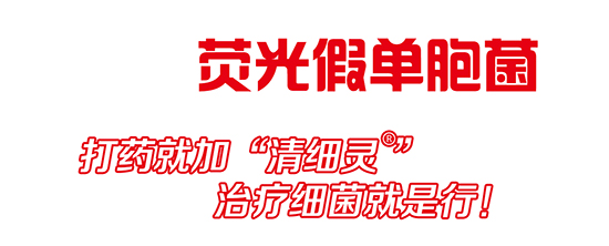 熒光假單細胞-細璽-農(nóng)墾 熒光假單細胞-細璽-農(nóng)墾