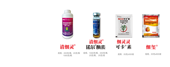 熒光假單細胞-細璽-農(nóng)墾 熒光假單細胞-細璽-農(nóng)墾