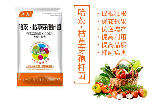 哈茨·枯草芽孢杆菌Q灰霉菌核病专用Q_03.jpg