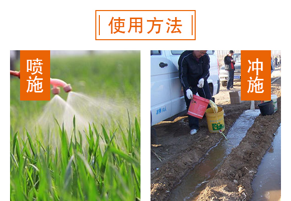 哈茨·枯草芽孢杆菌Q灰霉菌核病专用Q_06.jpg