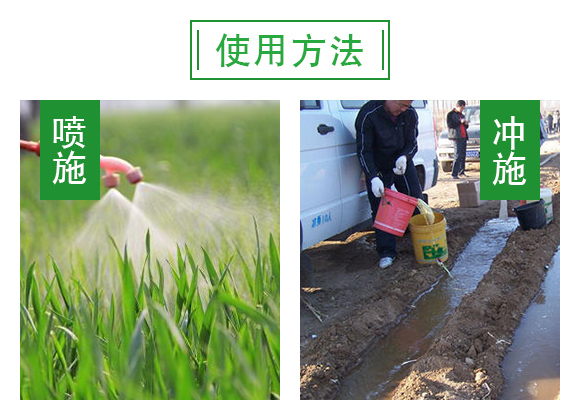 哈茨·枯草芽孢杆菌Q枯黄萎病害专用Q_06.jpg