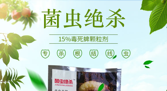 鍗椾含閲戝悏涔嬫槦鍐滀笟縐戞妧鏈夐檺鍏徃_01.jpg 鍗椾含閲戝悏涔嬫槦鍐滀笟縐戞妧鏈夐檺鍏徃_01.jpg