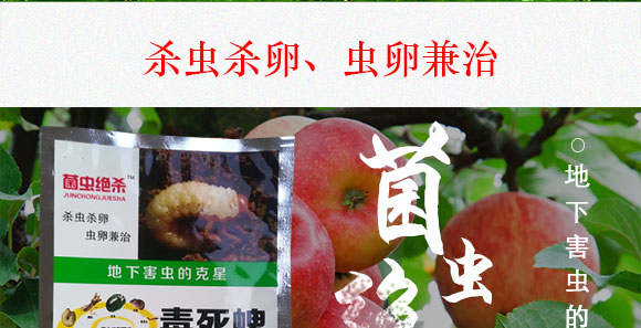 鍗椾含閲戝悏涔嬫槦鍐滀笟縐戞妧鏈夐檺鍏徃_03.jpg 鍗椾含閲戝悏涔嬫槦鍐滀笟縐戞妧鏈夐檺鍏徃_03.jpg