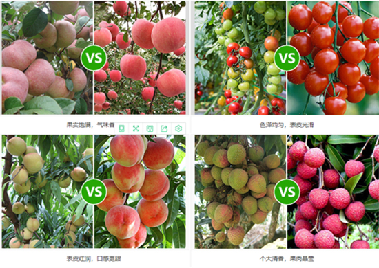 榛勮厫閰擱捑澶嶅悎鑲?8-6-26-縐戣禌寰?瀹夐槼涓洓6.jpg 榛勮厫閰擱捑澶嶅悎鑲?8-6-26-縐戣禌寰?瀹夐槼涓洓6.jpg