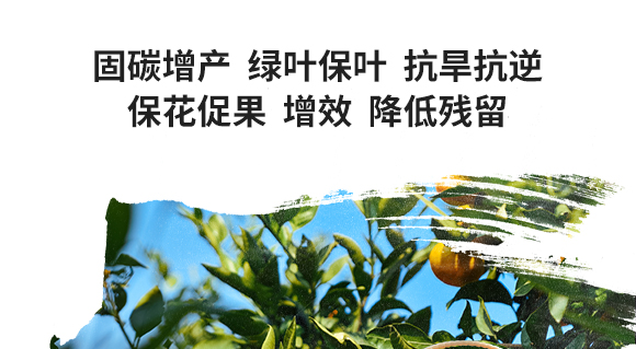 鏂扮枂涓壒鐓よ厫妞嶉吀鏈夐檺鍏徃3_05.jpg 鏂扮枂涓壒鐓よ厫妞嶉吀鏈夐檺鍏徃3_05.jpg