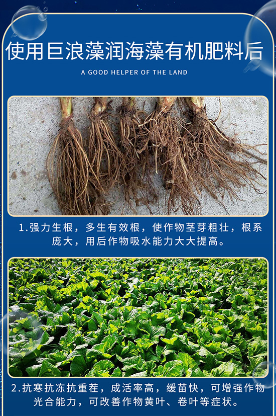 18巨浪-L有机?-40kg袋装_08.jpg