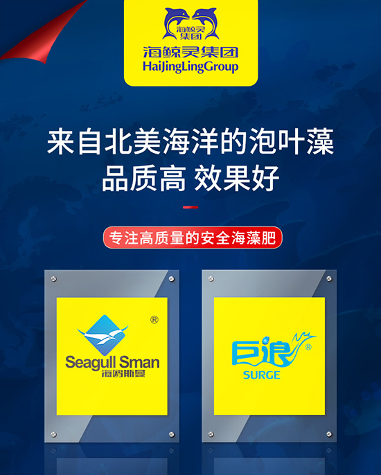 嫻烽弗鏂浖-鑺辯敓棰楅瀹漘01.jpg 嫻烽弗鏂浖-鑺辯敓棰楅瀹漘01.jpg