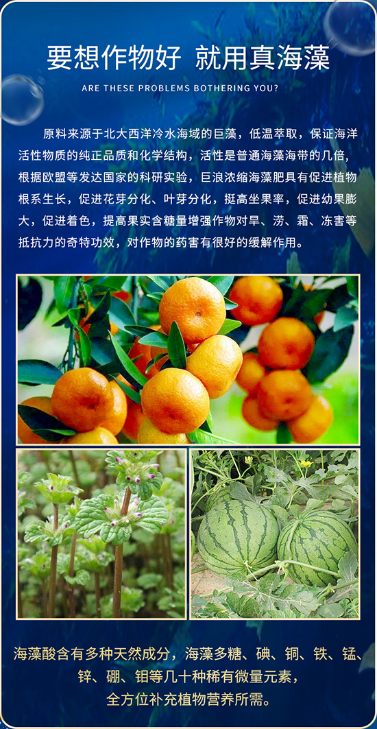 嫻烽弗鏂浖-鑺辯敓棰楅瀹漘06.jpg 嫻烽弗鏂浖-鑺辯敓棰楅瀹漘06.jpg