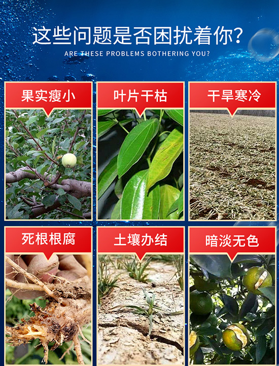 嫻烽弗鏂浖-鑺辯敓棰楅瀹漘07.jpg 嫻烽弗鏂浖-鑺辯敓棰楅瀹漘07.jpg