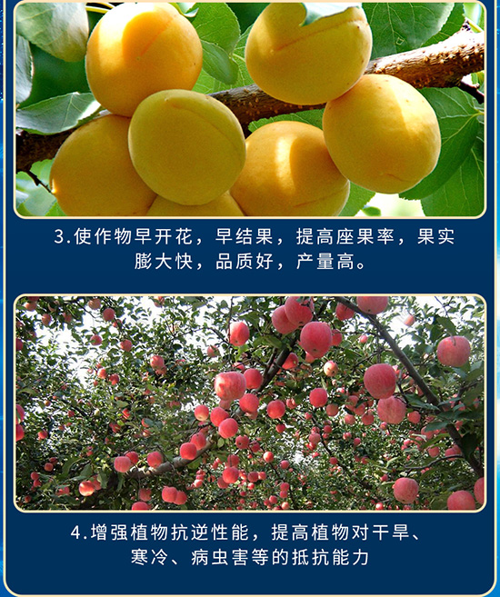 嫻烽弗鏂浖-鑺辯敓棰楅瀹漘09.jpg 嫻烽弗鏂浖-鑺辯敓棰楅瀹漘09.jpg
