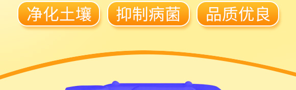 8_02.jpg 8_02.jpg