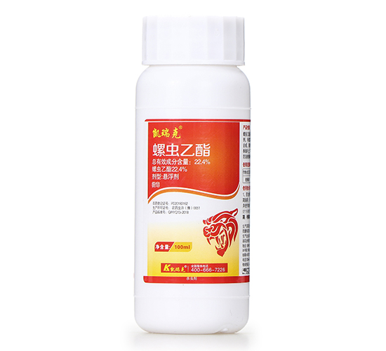 22.4%x(chng)Ҹ-P