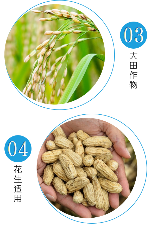 瀵垮厜甯?jìng)鐢熸佽偉鏂欑鎶涓績(jī)-鐢熸牴鍓?鍌繪牴_05.jpg 瀵垮厜甯?jìng)鐢熸佽偉鏂欑鎶涓績(jī)-鐢熸牴鍓?鍌繪牴_05.jpg