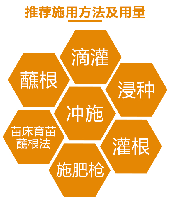 瀵垮厜甯?jìng)鐢熸佽偉鏂欑鎶涓績(jī)-楸艱泲鐧芥祿緙╃矇-鍌?cè)潝淿03.jpg 瀵垮厜甯?jìng)鐢熸佽偉鏂欑鎶涓績(jī)-楸艱泲鐧芥祿緙╃矇-鍌?cè)潝淿03.jpg