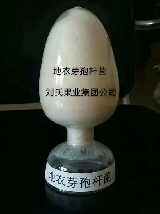 寰俊鍥劇墖_20211130095549.jpg