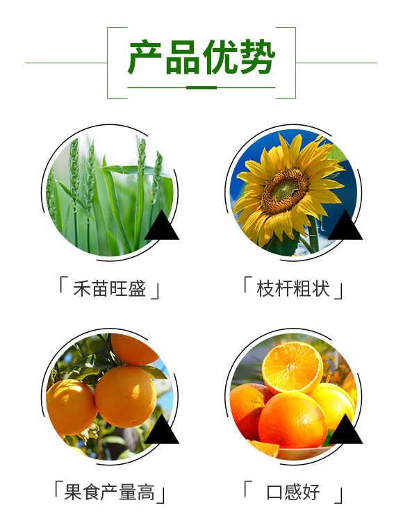 娌沖崡濂界編鐗圭敓鐗╃鎶鏈夐檺鍏徃788196_03.jpg 娌沖崡濂界編鐗圭敓鐗╃鎶鏈夐檺鍏徃788196_03.jpg