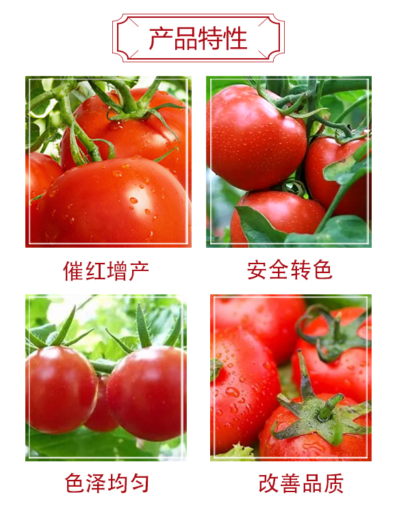 瑗跨孩鏌夸竴鍠風(fēng)孩-鍐犵帥鐢熺墿_03.jpg 瑗跨孩鏌夸竴鍠風(fēng)孩-鍐犵帥鐢熺墿_03.jpg