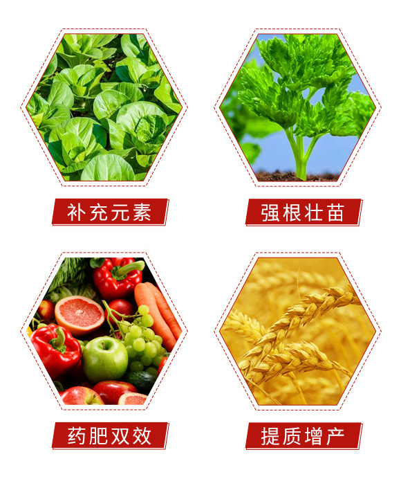 27-9-9-宸ц拷-涓_05.jpg 27-9-9-宸ц拷-涓_05.jpg