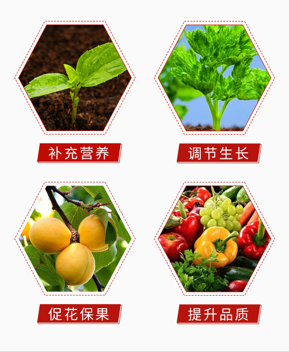 谷昔之-中藍農(nóng)業(yè)_05.jpg 谷昔之-中藍農(nóng)業(yè)_05.jpg