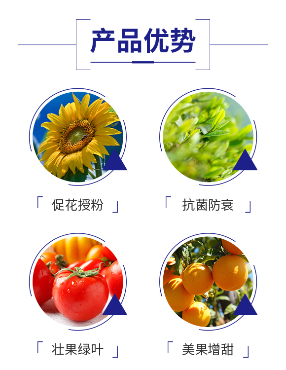 娌沖崡鏄撴櫘鏂浗闄呰錘鏄撴湁闄愬叕鍙竉03.jpg 娌沖崡鏄撴櫘鏂浗闄呰錘鏄撴湁闄愬叕鍙竉03.jpg