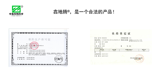 鏁堟灉灞曠ず_01.png 鏁堟灉灞曠ず_01.png
