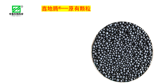 鏁堟灉灞曠ず_02.png 鏁堟灉灞曠ず_02.png