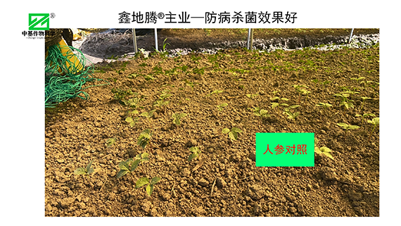 鏁堟灉灞曠ず_04.png 鏁堟灉灞曠ず_04.png