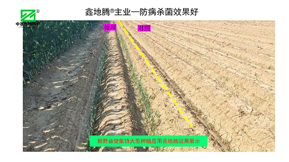 鏁堟灉灞曠ず_05.png 鏁堟灉灞曠ず_05.png