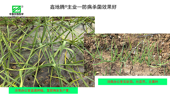 鏁堟灉灞曠ず_06.png 鏁堟灉灞曠ず_06.png