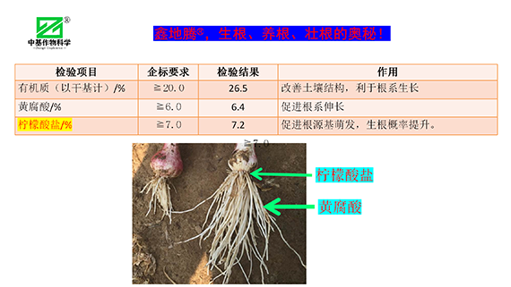 鏁堟灉灞曠ず_07.png 鏁堟灉灞曠ず_07.png