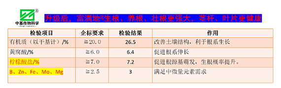 鏁堟灉灞曠ず_08.png 鏁堟灉灞曠ず_08.png
