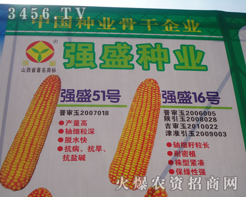 山西強盛種業(yè)有限公司