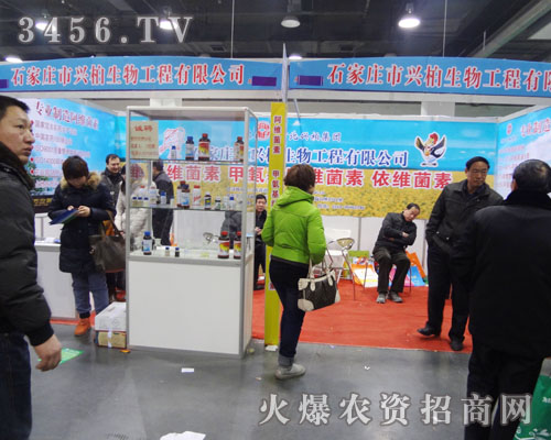 石家莊市興柏生物