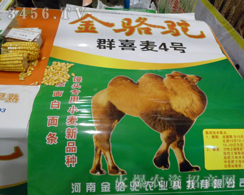 河南金駱駝農業(yè)科技有限公司