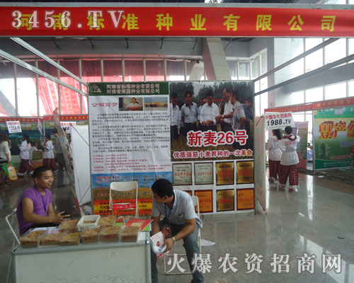 河南省標準種業(yè)有限公司